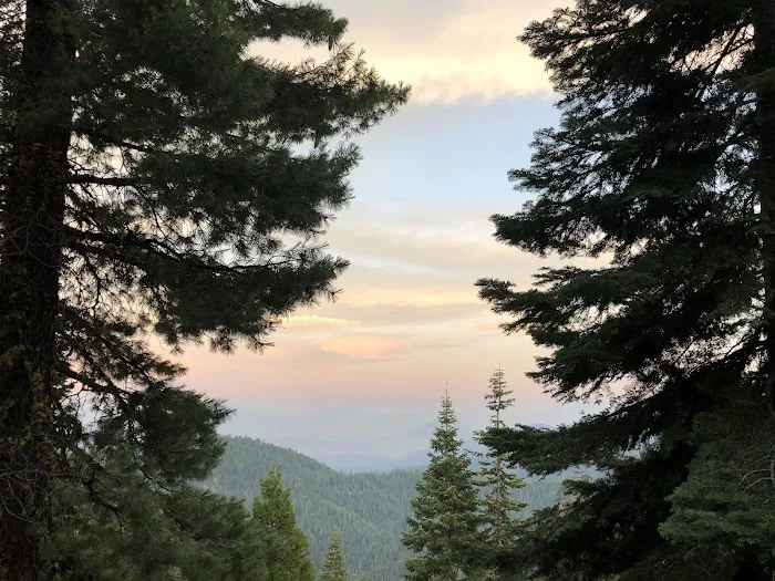 Mt. Ashland Campground Picture 2