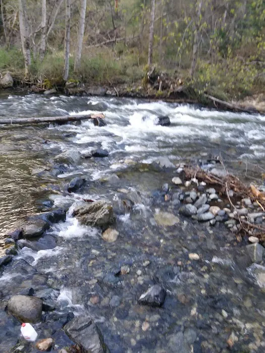 Beaver Creek Campground Picture 10