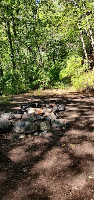 Beaver Creek Campground Picture 3