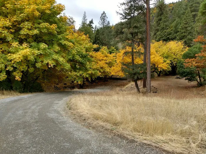 Beaver Creek Campground Picture 5