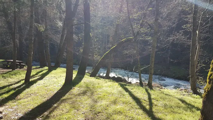 Beaver Creek Campground Picture 1