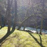 Beaver Creek Campground