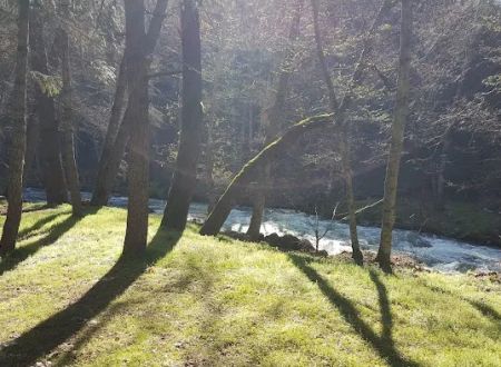 Beaver Creek Campground