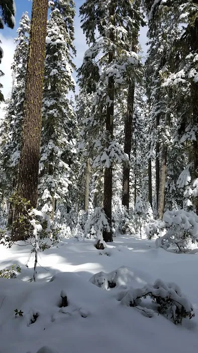 South Brown Mountain Shelter Picture 6