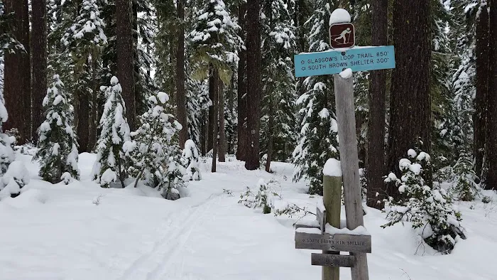 South Brown Mountain Shelter Picture 8