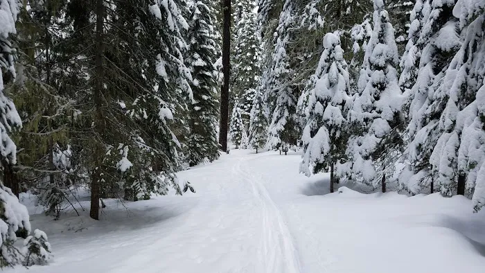 South Brown Mountain Shelter Picture 10