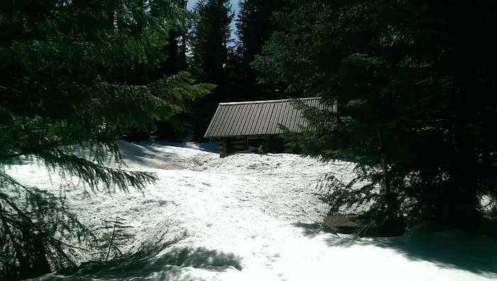 South Brown Mountain Shelter Picture 7