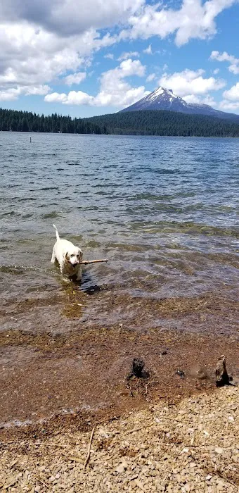 Sunset Campground - Lake of the Woods Picture 6