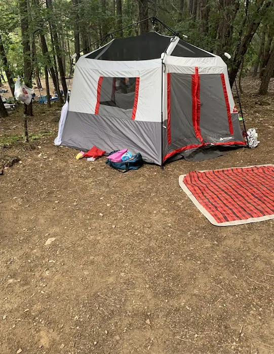 Indian Scotty Group Site Picture 2