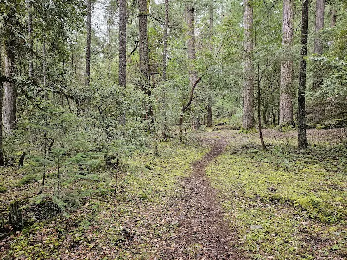 Sulphur Springs Campground Picture 4