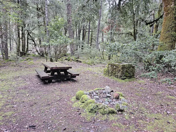 Sulphur Springs Campground Picture 8