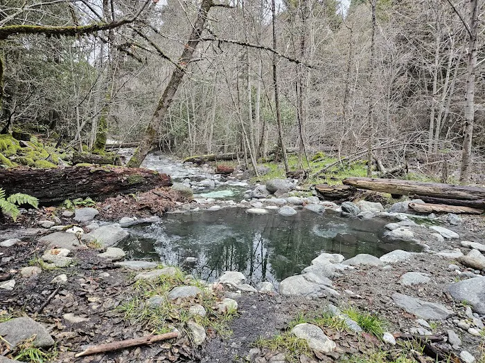 Sulphur Springs Campground Picture 5
