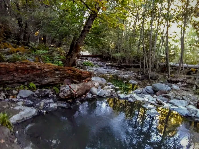 Sulphur Springs Campground Picture 9