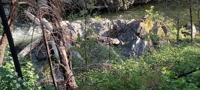 Sulphur Springs Campground Picture 10