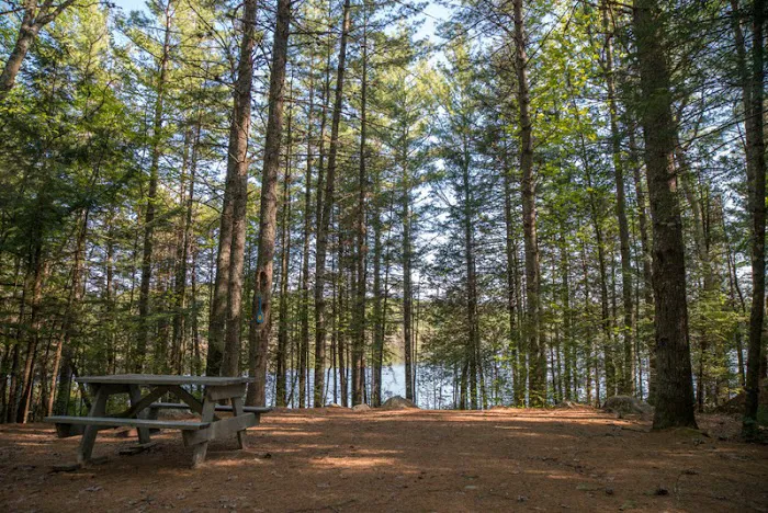 Sarah Totten Campground Picture 6
