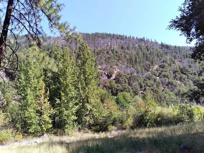 Sarah Totten Campground Picture 10
