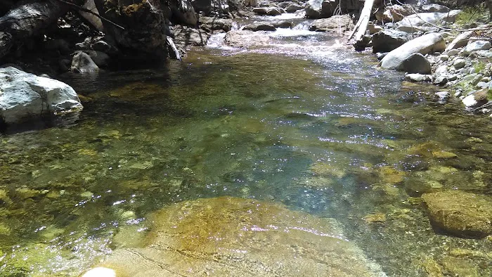 Grider Creek Campground Picture 1
