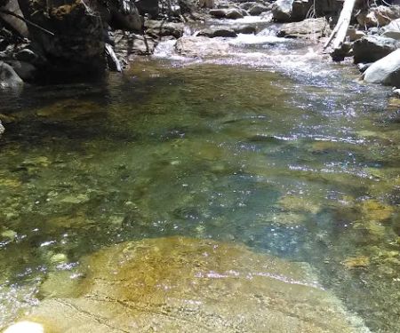 Grider Creek Campground