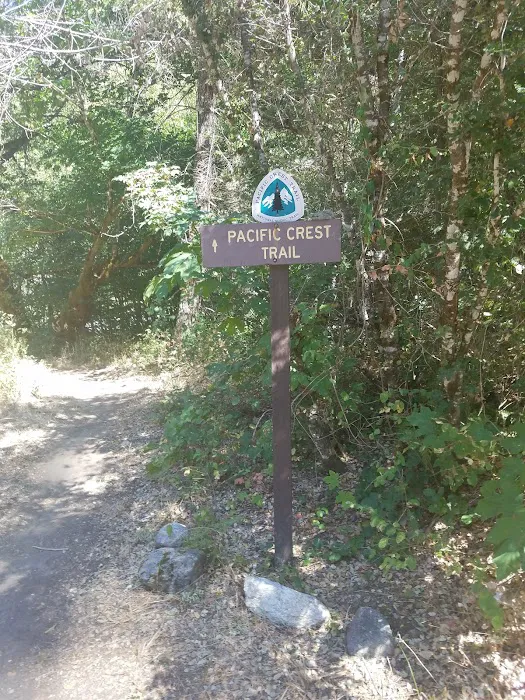 Grider Creek Campground Picture 2