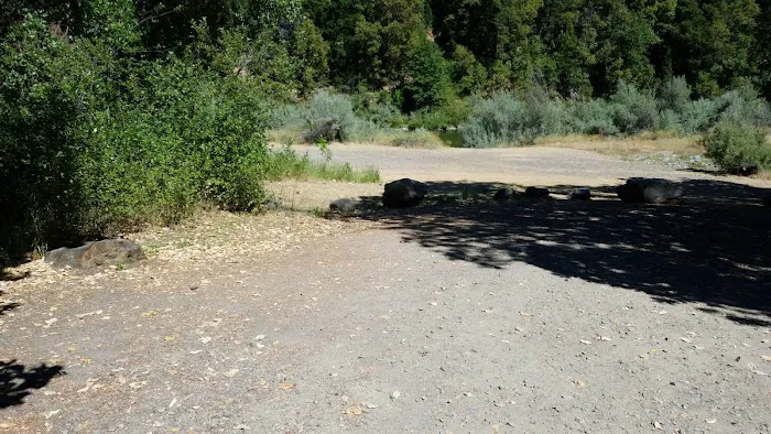 USFS Curly Jack Campground Picture 5