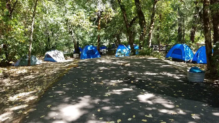 USFS Curly Jack Campground Picture 4