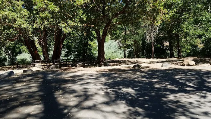 USFS Curly Jack Campground Picture 6