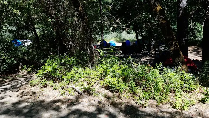USFS Curly Jack Campground Picture 9