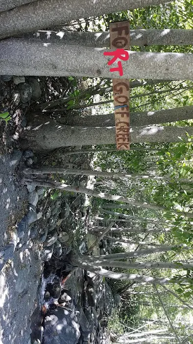 Fort Goff Campground Picture 2