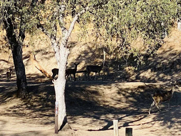 Quail's Roost Campground Picture 6