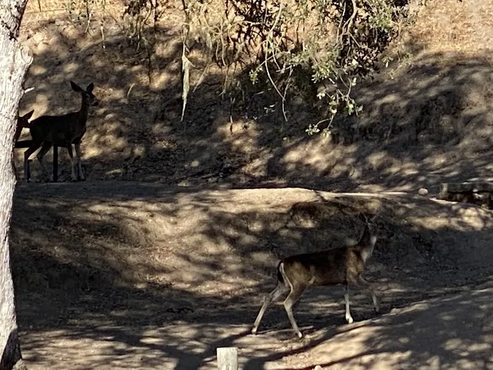 Quail's Roost Campground Picture 7