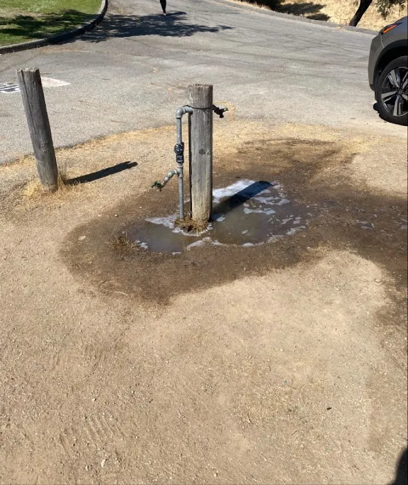 Sandy Point Campground Picture 8