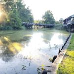Bergeron's On-Bayou Campground