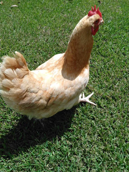 Jim's Picture 3
