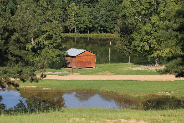 Brushy Creek Ranch Picture 6
