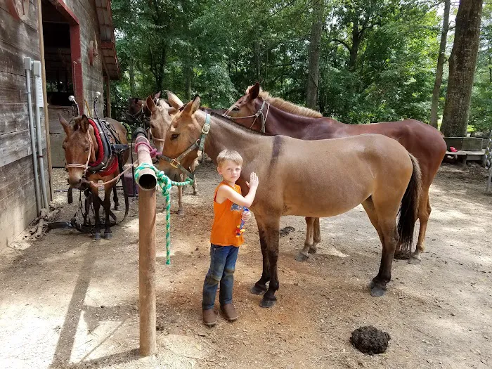 Brushy Creek Ranch Picture 7