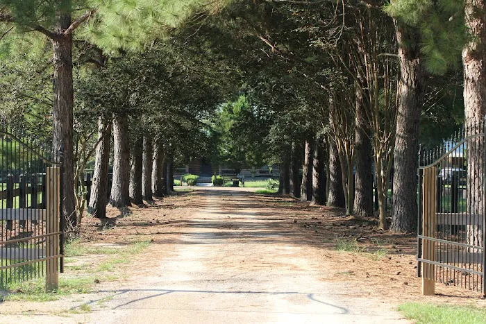 Brushy Creek Ranch Picture 10
