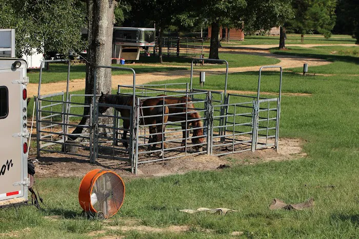 Brushy Creek Ranch Picture 9