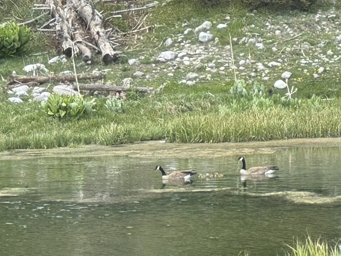 Canjilon Lakes (recgovnpsdata) Picture 3