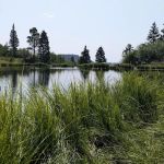 Canjilon Lakes (recgovnpsdata)