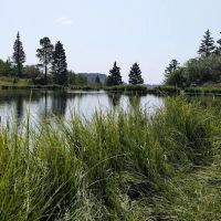 Canjilon Lakes (recgovnpsdata) ico