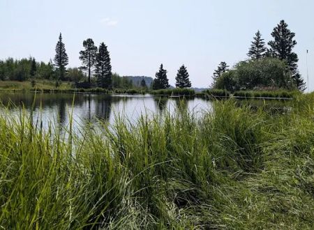 Canjilon Lakes (recgovnpsdata)