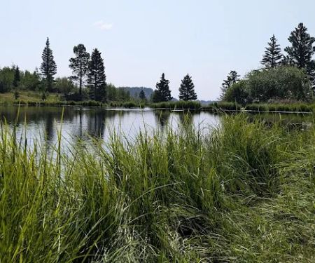 Canjilon Lakes (recgovnpsdata)