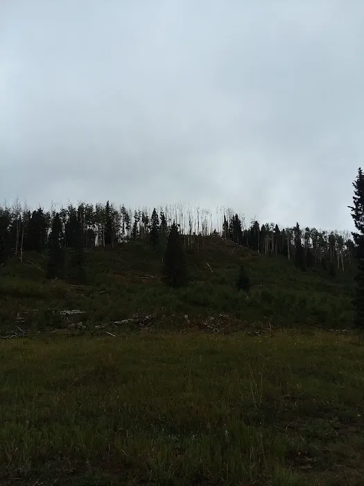 Middle Canjilon Campground Picture 8