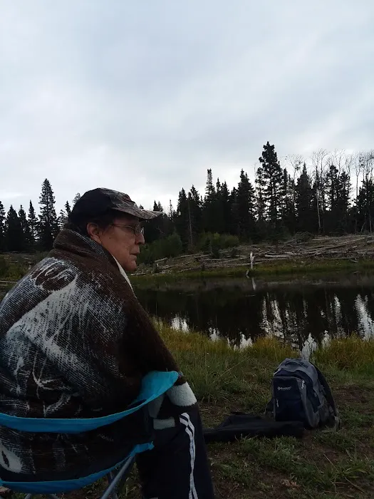 Middle Canjilon Campground Picture 10