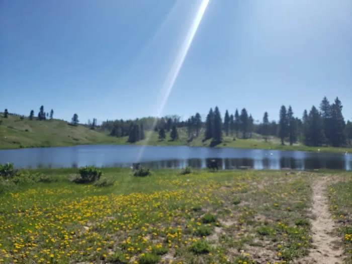 Lower Canjilon Lakes Campground Picture 2