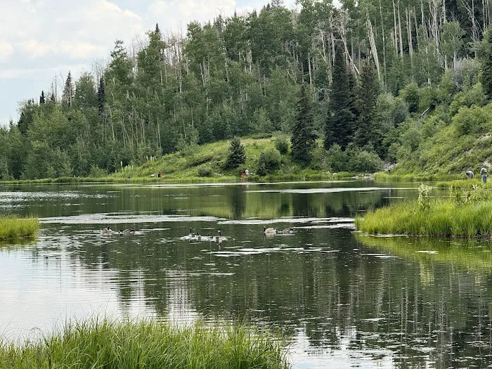 Lower Canjilon Lakes Campground Picture 9