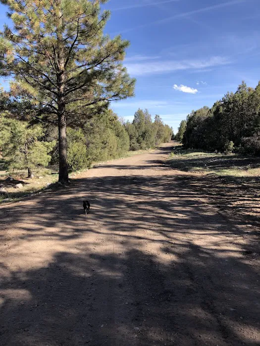 El Rito Campground Picture 3
