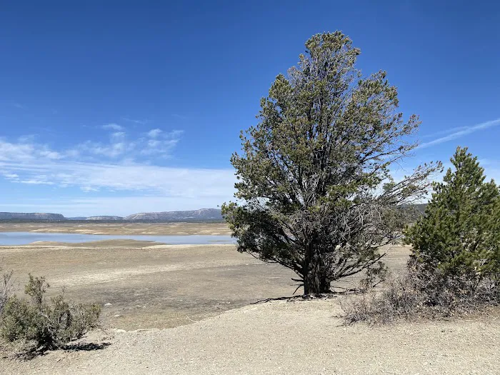 Blanco Campground Picture 3
