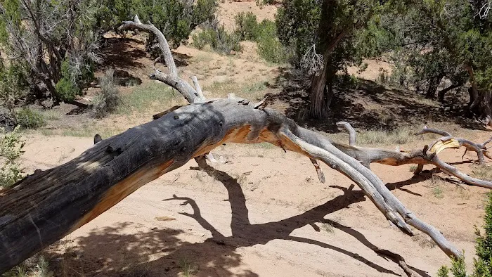 Echo Campground Picture 9