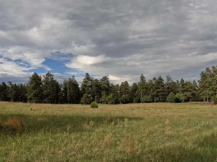 Mesa Urraca Campground Picture 4